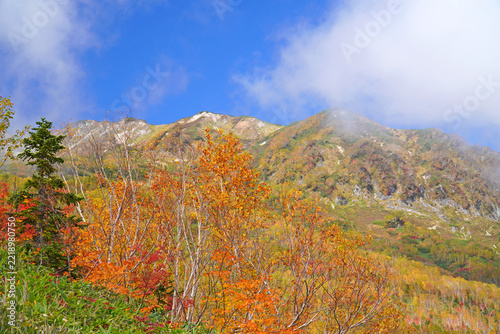 栂池自然園の紅葉