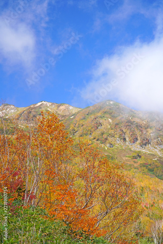栂池自然園の紅葉