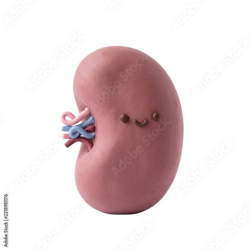 Cute Pink Kidney Character with Tubes, Medical Concept, Minimalist Art