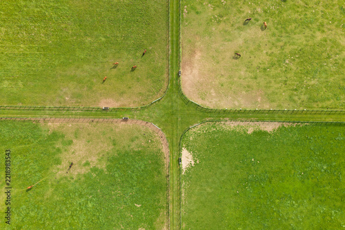 Aerial view of a cross-shaped intersection of fences dividing green pastures with horses grazing, United Kingdom.