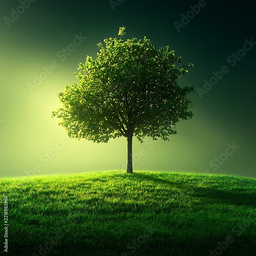 Solitary tree standing in a green field under a bright sky