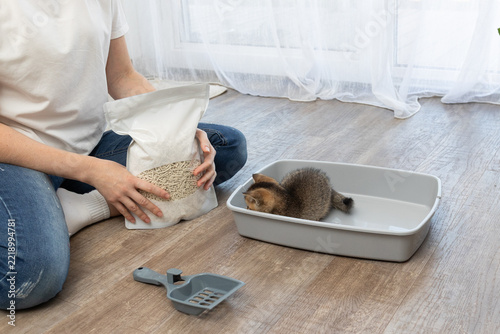 Fotografie Kitten care setup with cat litter and litter box in a calm indoor home scene