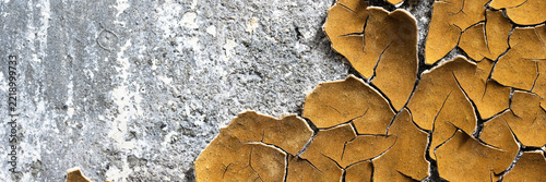 Peeling paint on the wall. Panorama of a concrete wall with old cracked flaking paint. Weathered rough painted surface with patterns of cracks and peeling. Panoramic texture for background and design.