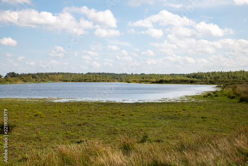 Calm Meadow Lake And Wetland With Grassy Shoreline Under Blue Sky And Puffy Clouds