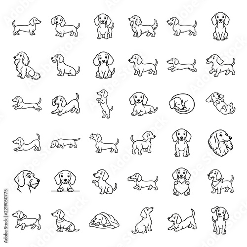 Line Art Dachshund Dog Icon Set with Poses for Pet Product Packaging