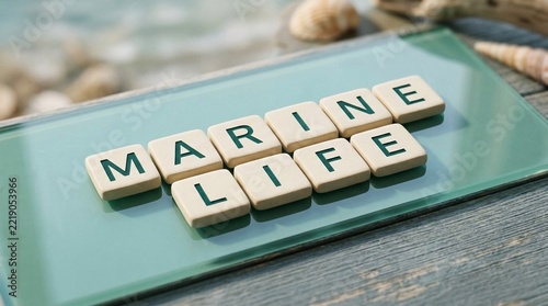 Marine Life spelled with alphabet tiles on a beach surface