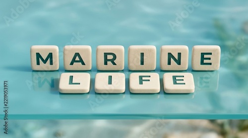 Marine Life spelled out with letter tiles on a blue surface, representing ocean conservation and education.