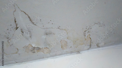 Water Damage on Ceiling: Close-up of a damaged ceiling with peeling paint and water stains, indicating a potential leak or structural issue.