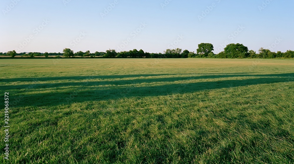 Fototapeta premium Open grass field stretching to a distant treeline under a clear sky