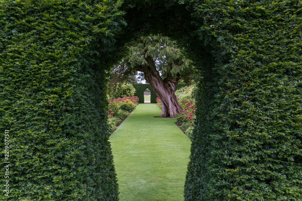 Naklejka premium The Garden Archway Framed by Pruned Hedges and Lush Lawn