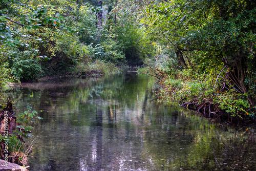 Calm forest river with green foliage, Germany, Bavaria, Augsburg, 5 October 2026