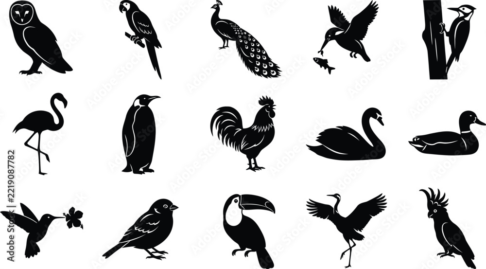 Fototapeta premium Detailed collection of black bird featuring owls, parrots, peacocks, and flamingos isolated on a white background for