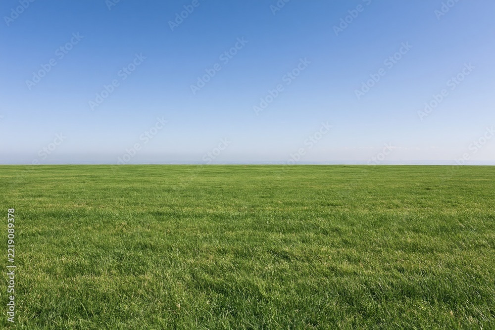 Naklejka premium The Expansive Grass Field Under a Clear Blue Sky on the Horizon