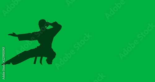 Digital animation of silhouette of multiple martial arts poses against white background