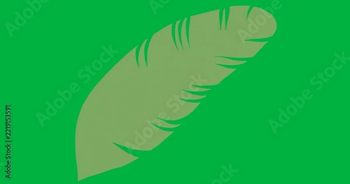 graphic designer dragging feather on transparent background, highlighting serrated blue edges