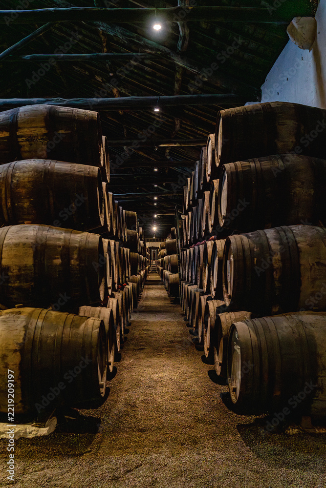 Fototapeta premium Interior of traditional wine cellar in Porto Portugal with rows of wooden barrels used for aging port wine. Atmospheric underground storage with perspective view and warm low lighting.