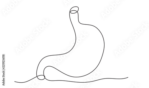 Stomach Continuous One Line Drawing