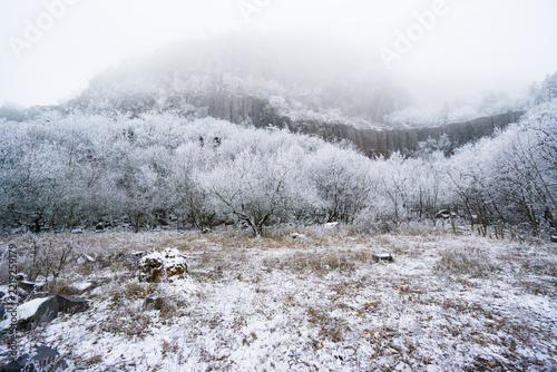 Winter Fog Rock