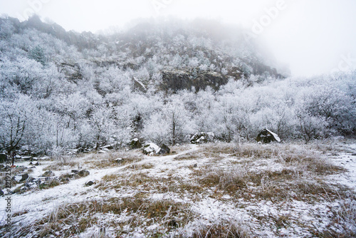 Winter Fog Rock