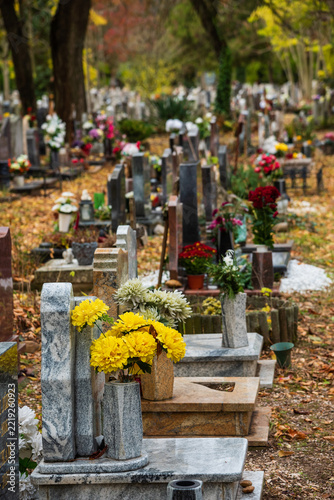 grave yard at the october