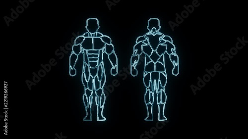 Human Body Anatomy Neon Outline Animation with Color Changing Glow Effect