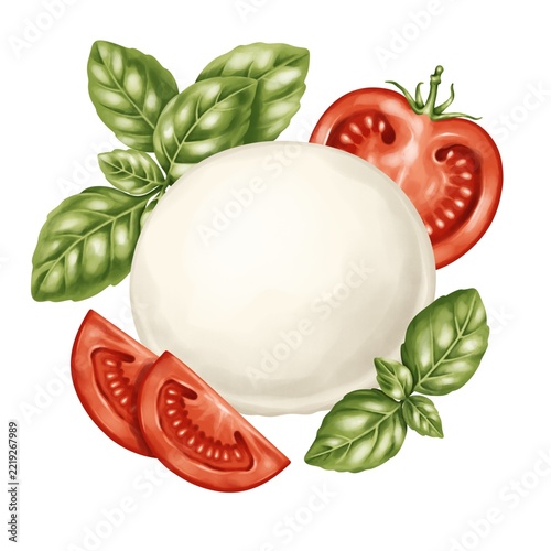 Fresh mozzarella cheese with tomatoes and basil, Italian Caprese food illustration