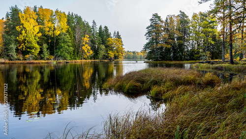 Swedish river and salmon area in autumn. Farnebofjarden national park in north of Sweden