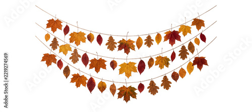 Autumn leaf garland string with various orange and brown dried maple leaves for thanksgiving seasonal indoor wall decoration or harvest festival.