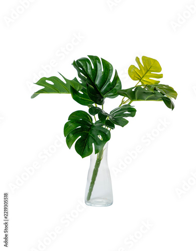 Artificial monstera plant in a glass vase isolated on a white background. Green tropical leaves, home decor, fake houseplant.