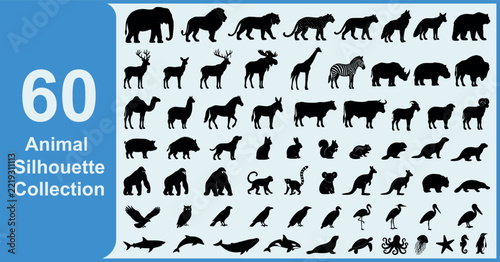 Animal silhouette collection, wildlife silhouette icons, black animal shapes