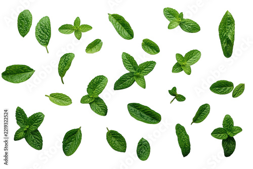 Classic scattered fresh mint leaves pattern cutout