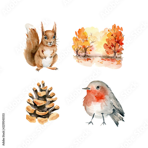 Autumn set with squirrel,bird,pine cone,autumn forest.Hand painted elemrnts.Fall collection