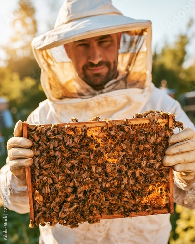 Beekeeper inspecting healthy beehive frame full of golden honey