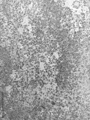 Granular concrete texture displays a mottled gray and white surface