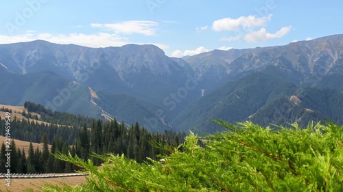 Conifer Valley Panorama, Guozigou Canyon, Xinjiang Province, China