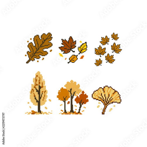 Autumn leaves tree foliage set