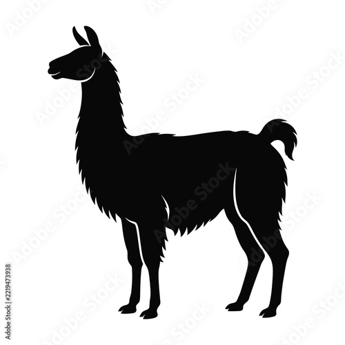 Black silhouette of an alpaca standing in profile against a white background