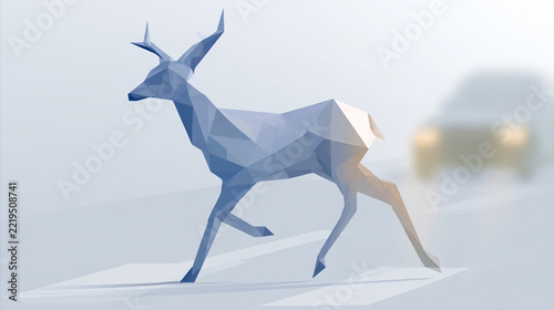 Scared young deer crossing foggy road with approaching car lights   