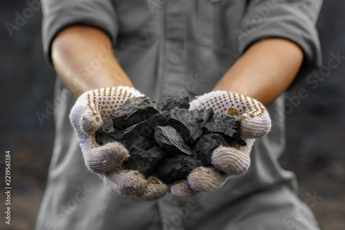 Close up of human hands holding pile of coal with white gloves 
