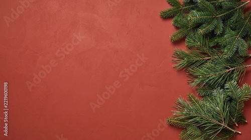Fresh green pine tree branches on a solid textured red surface background