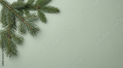 Single fresh pine tree branch in the corner of a light green background