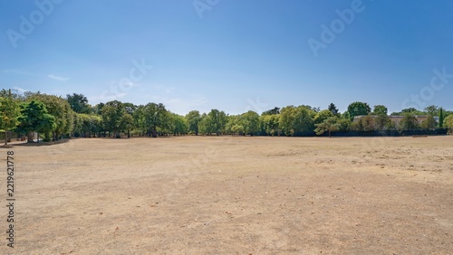 vue d'une pelouse brulée par le soleil pendant la canicule cet été 2026