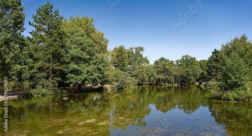 vue d'un lac en été sous un beau ciel bleu