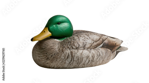 A realistic mallard duck decoy isolated on transparent background