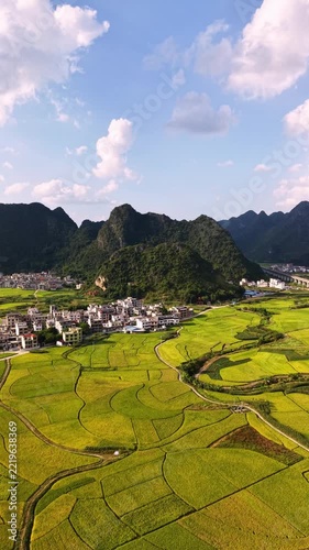 Vertical Video: Scenic aerial view of a rural village and green farmland under a sunny sky.