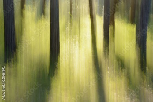 ABSTRACCION DE UNA ARBOLEDA