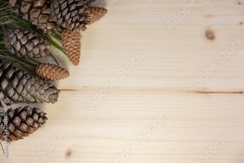A group of pine trees against a light wood background
