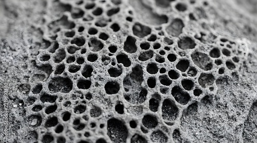 Close-up of porous rock surface texture