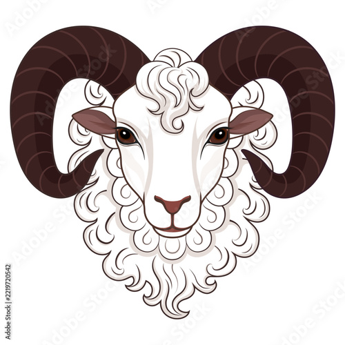 A flat vector illustration of a sheep's head.
