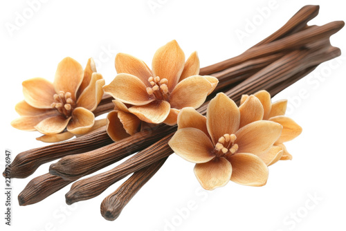 Vanilla flower pods and sticks isolat isolated on white background for product catalog, ecommerce, advertising and commercial design projects